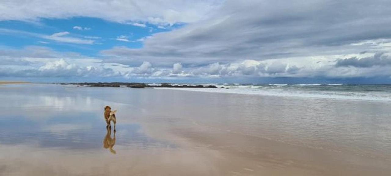 Diamond Beach Resort, Mid North Coast Nsw エクステリア 写真