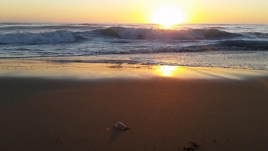 Diamond Beach Resort, Mid North Coast Nsw エクステリア 写真